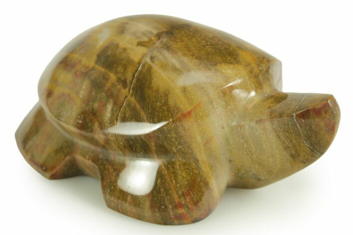Polished Petrified Wood Turtle - Australia #366294